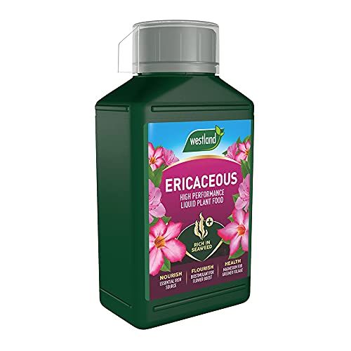 Ericaceous Liquid Plant Food 1lt Concentrate