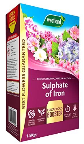 Westland 20600027 Sulphate of Iron Plant Food for Ericaceous Plants, 1.5 kg