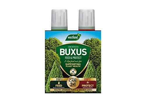 Westland Buxus Feed & Protect Concentrates 2 in 1 (2 x 500 ml)