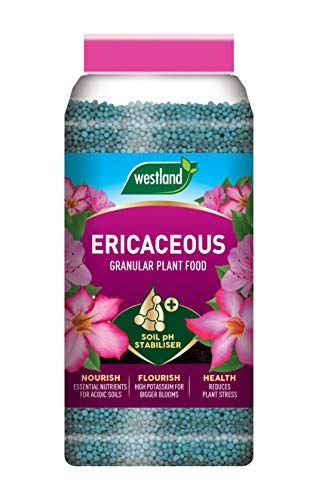 Westland Ericaceous Plant Food Granules Jar 900 g