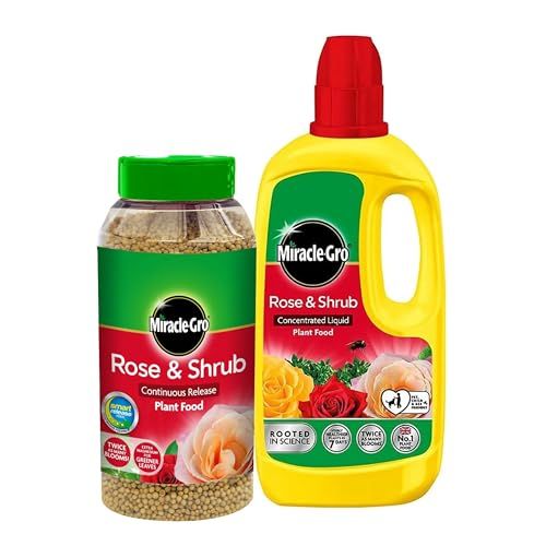 Miracle Grow Rose Feed Fertiliser - Bundle of Rose & Shrub 900g Continuous Release Plant Feed Granules & 800ml Concentrated Liquid Plant Food. Garden Plants Fertilizer for Roses with Topline Card