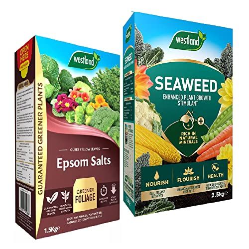 Garden Plant Feed Fertiliser Bundle - 2.5kg Organic Seaweed Stimulant & 1.5kg Epsom Salt, Garden Fertilisers for Growing Healthy and Stronger Garden Plants, Vegetables with Topline Card.