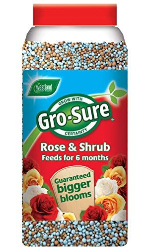 Gro-Sure 6 Month Slow Release Rose and Shrub Food, 1.1 kg