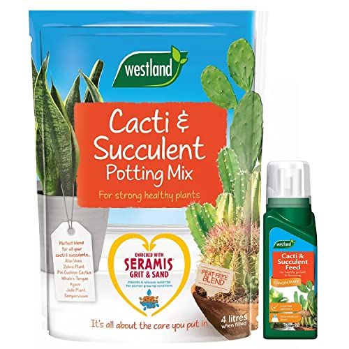 Westland Cacti & Succulent Growing Bundle - Peat Free Succulent Potting Mix Compost with Seramis 4L Bag & Cactus Feed Concentrate 200ml. House Plant Compost Food with Topline Card.