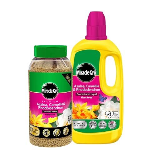 Miracle Grow Ericaceous Feed Fertiliser - Bundle of 900g Continuous Release Plant Feed Granules & 800ml Concentrated Liquid Plant Food. Garden Plants Fertilizer for Azalea, Camellia with Card